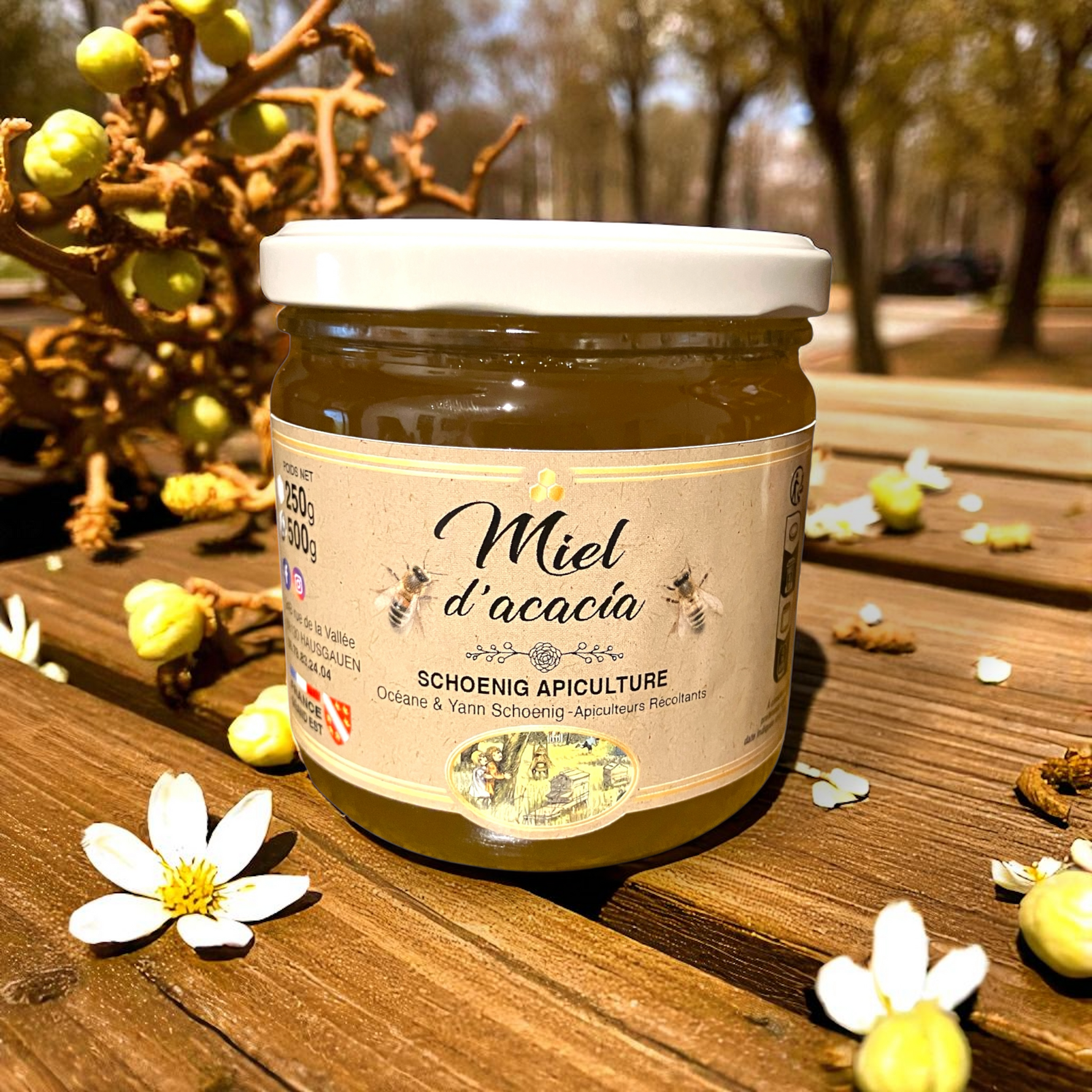 Pot de miel d’acacia artisanal récolté dans le Haut-Rhin en Alsace