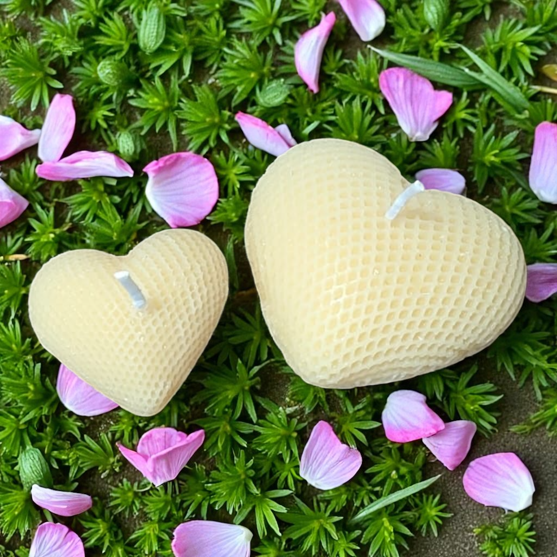 bougies en cire d'abeille