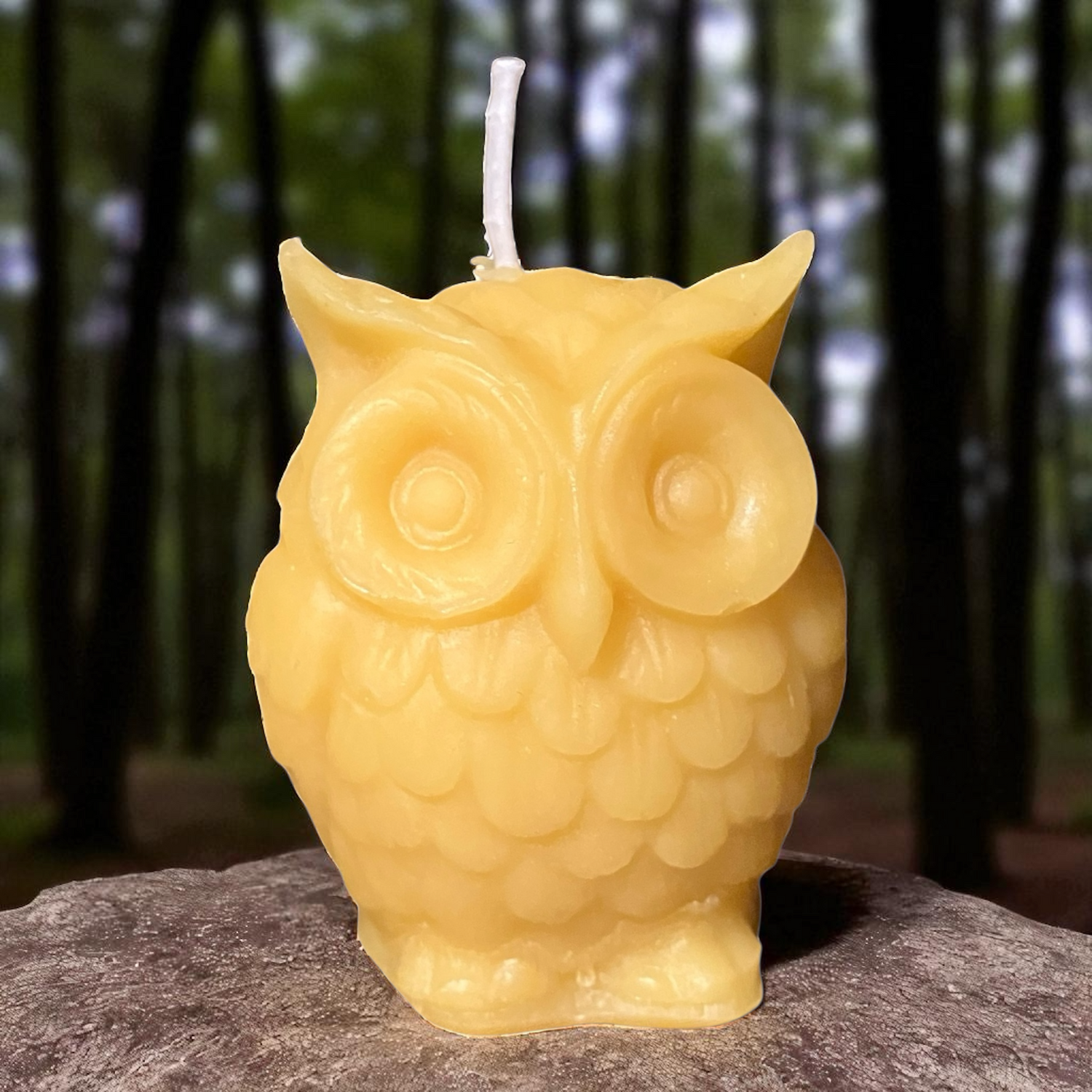 Bougie cire d'abeille Hibou
