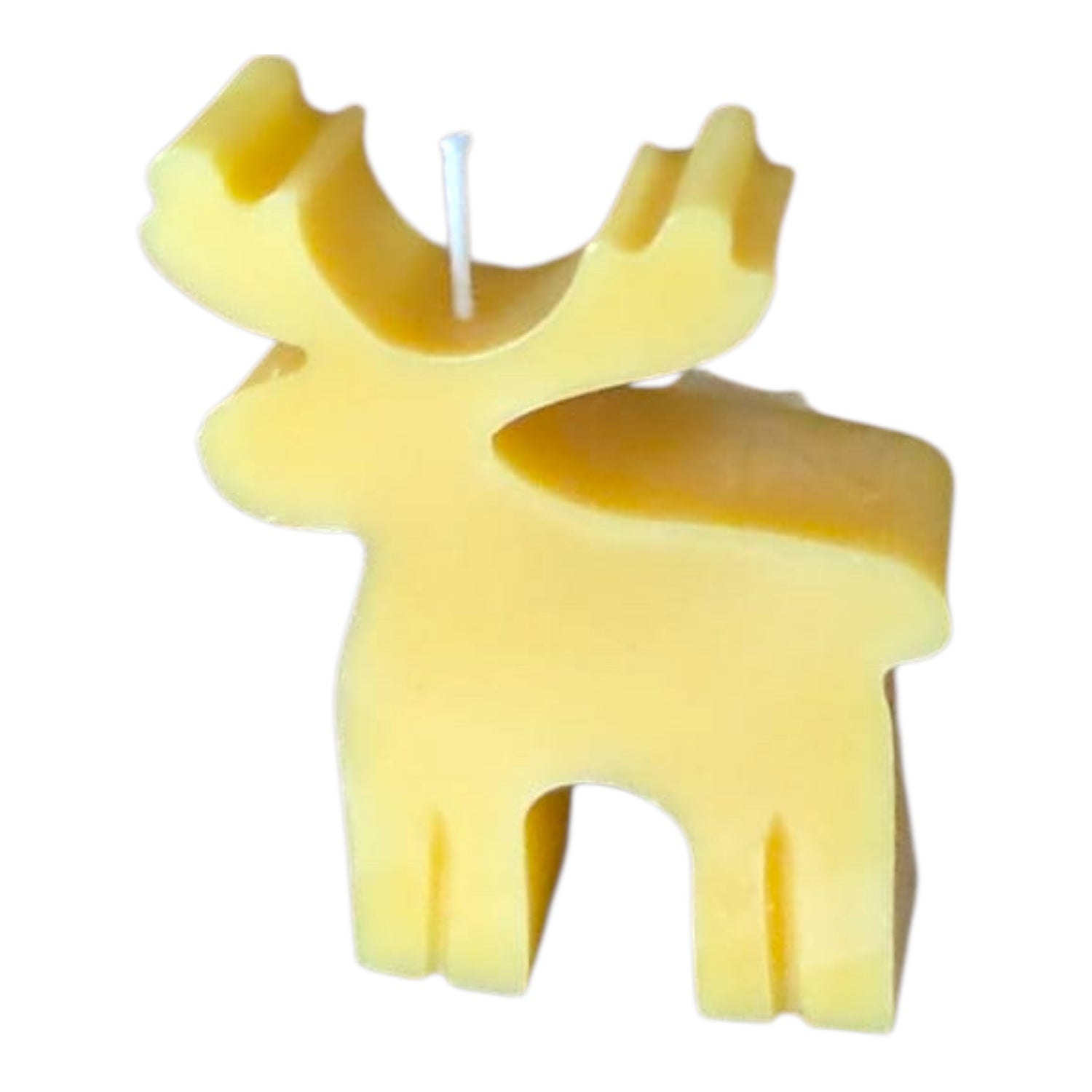 Bougie cire d'abeille Rennes des bois