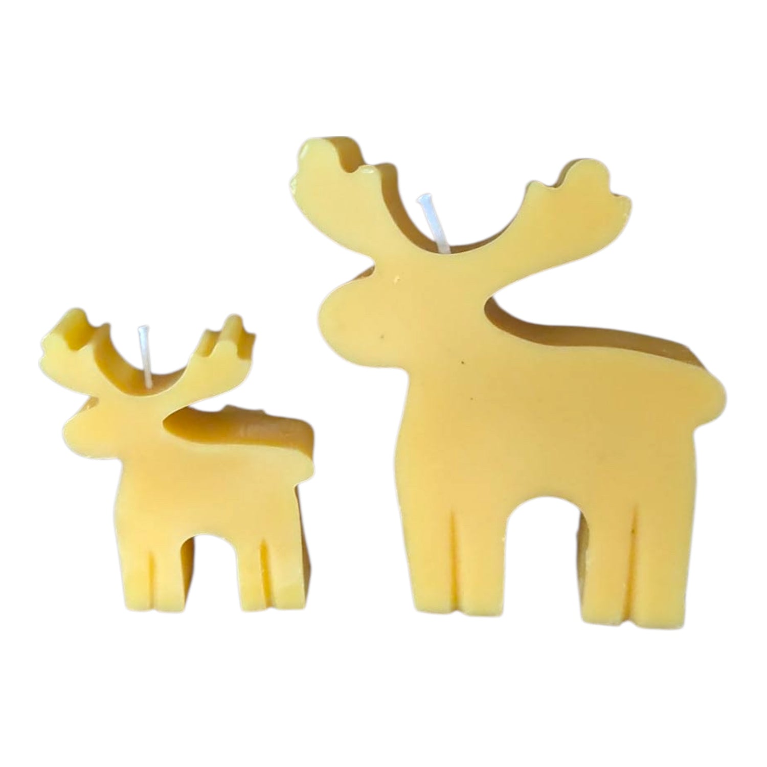 Bougie cire d'abeille Rennes des bois