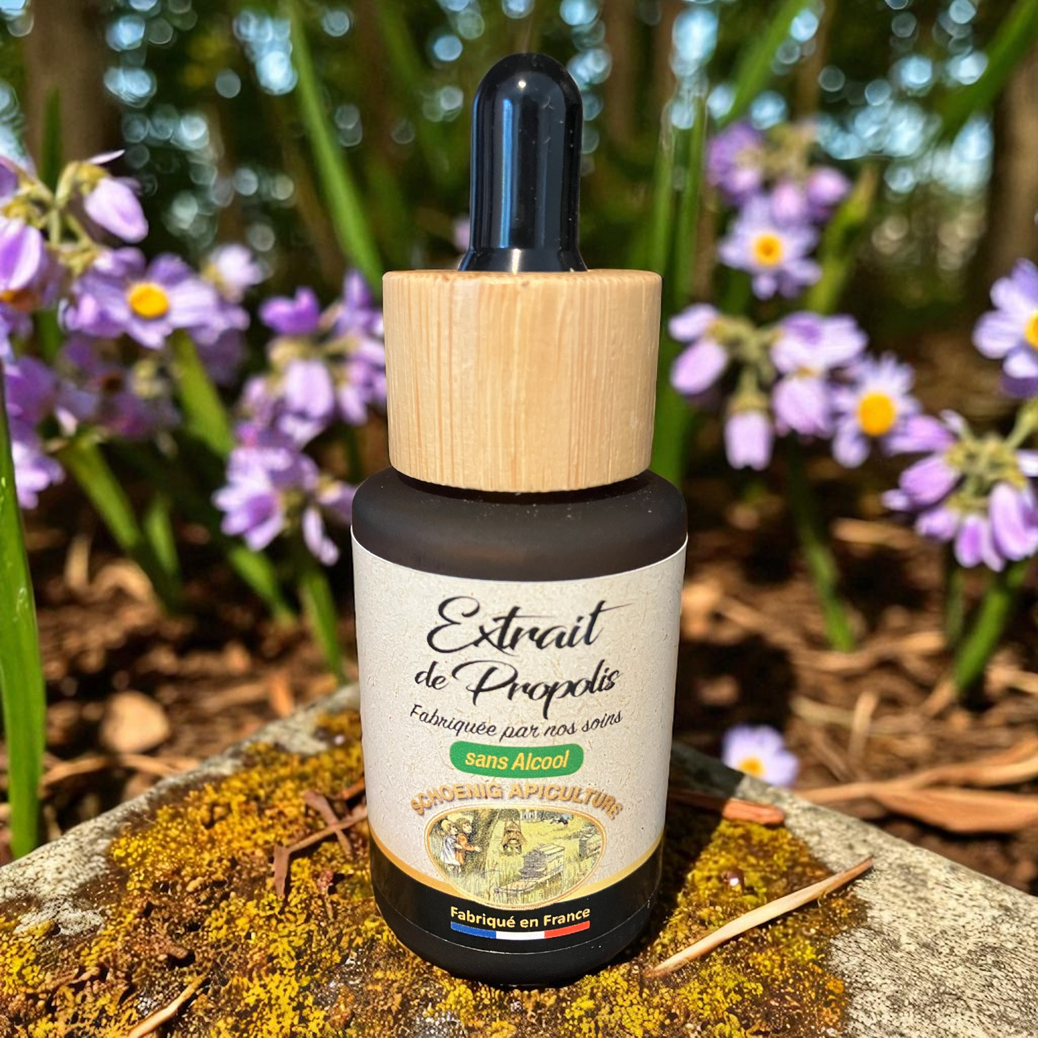 Extrait de propolis naturel – Macérat de propolis artisanale française