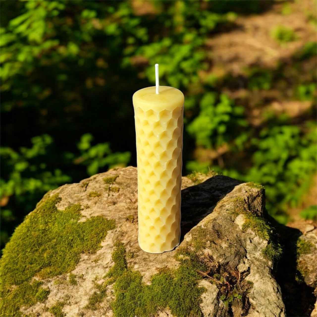 Bougie cire d'abeille Alvéole