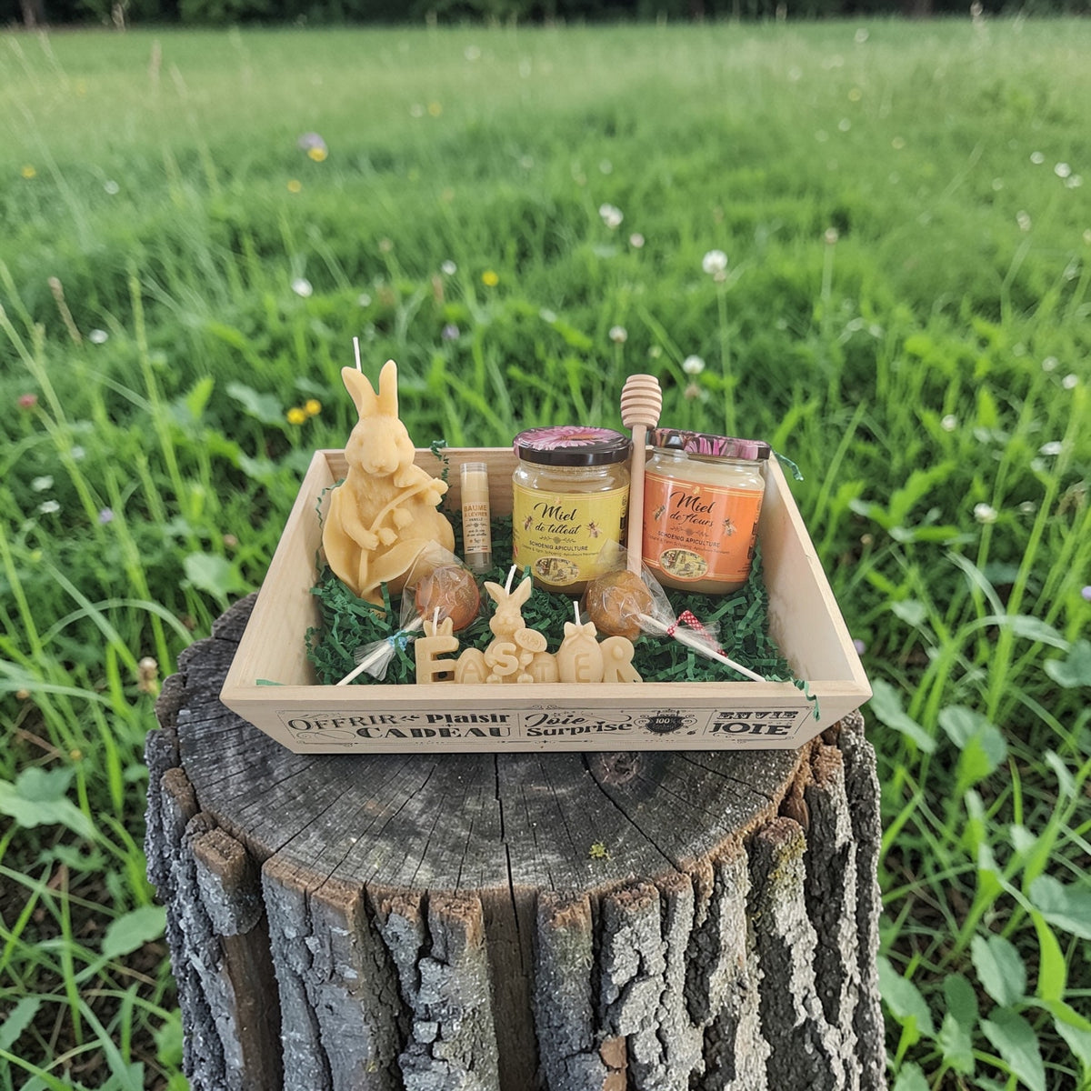 Coffret cadeau naturel avec miel, bougies en cire d’abeille, sucettes, baume à lèvres et cuillère à miel en bois posé sur un tronc d’arbre dans une prairie, ambiance champêtre et authentique.