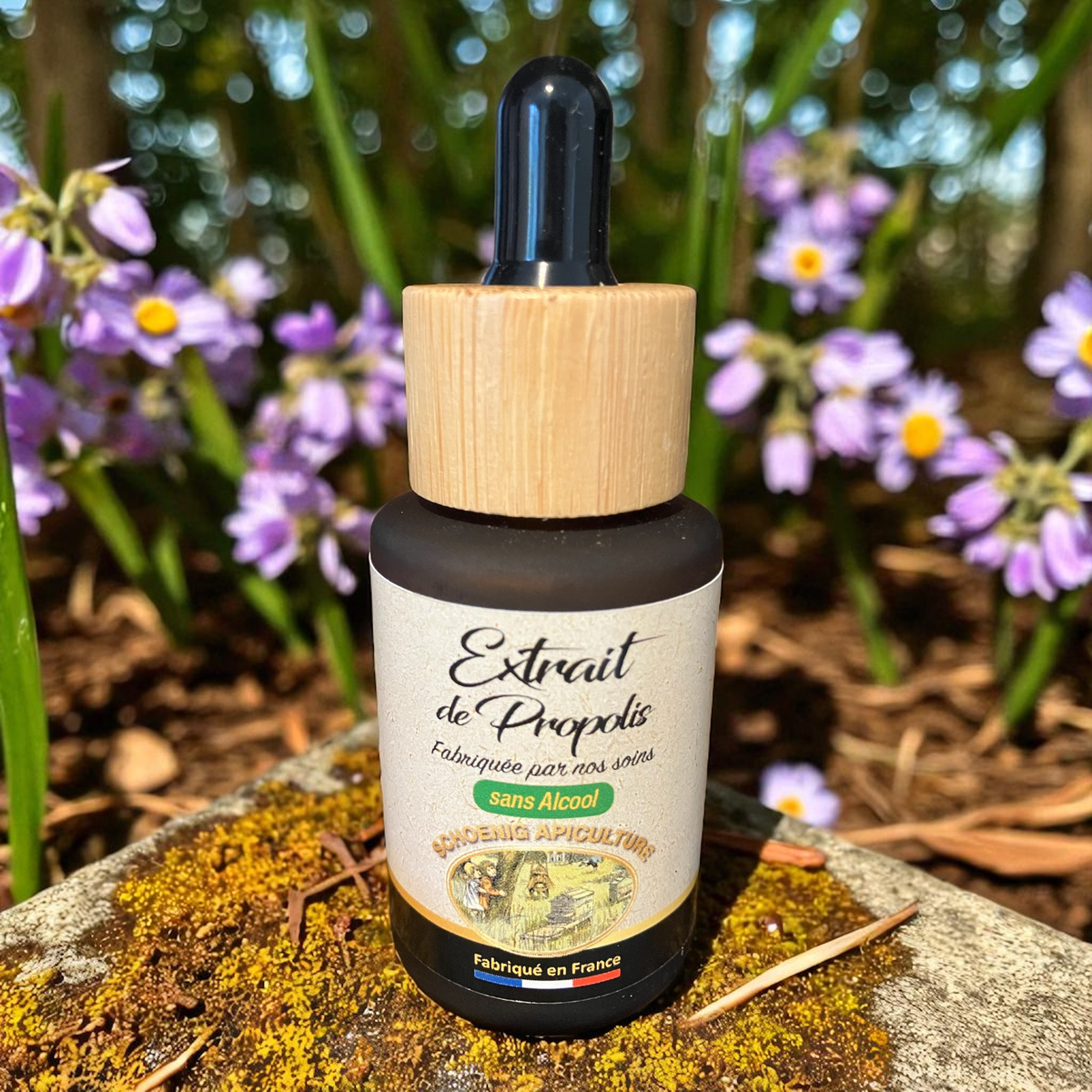 Extrait de propolis sans alcool – Soutien naturel au quotidien - schoenig apiculture