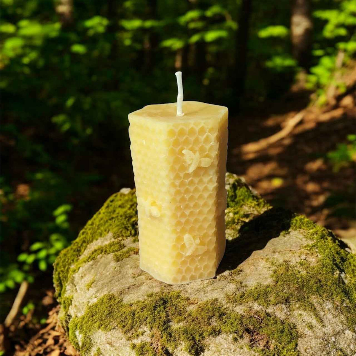 Bougie cire d'abeille Ruche longue